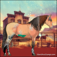 Horse Color:White Spotted Buckskin Dun Sabino 