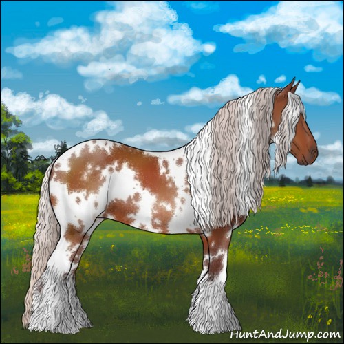 Horse Color:White Spotted Chocolate Silver Brown