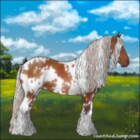 Horse Color:White Spotted Chocolate Silver Brown 