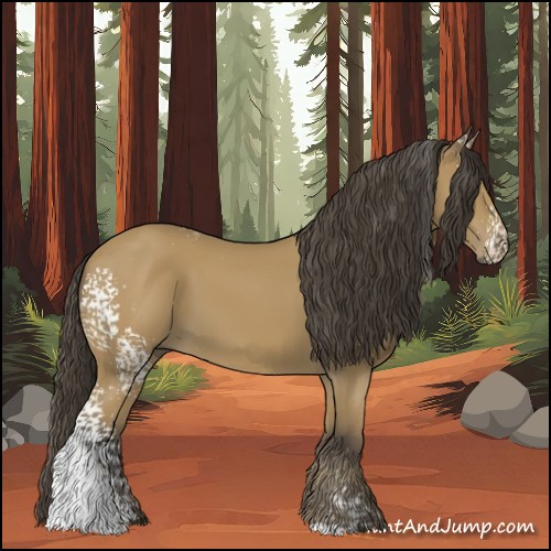 Horse Color:White Spotted Buckskin 