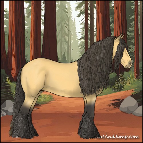 Horse Color:Buckskin 