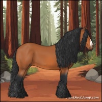 Horse Color:Bay 