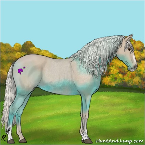 Horse Color:Watercolor Palomino Sabino 