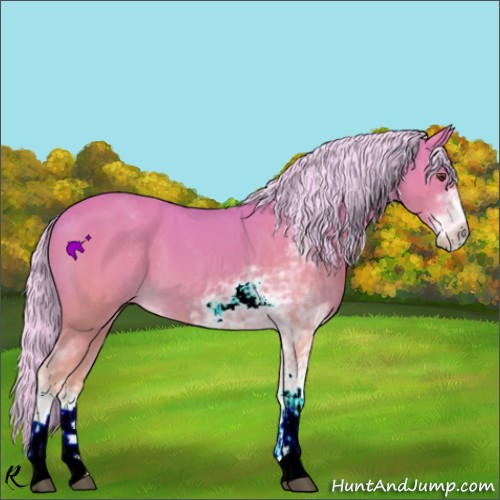 Horse Color:Watercolor Palomino Sabino 