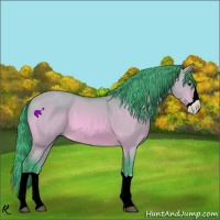 Horse Color:Watercolor Buckskin Dun Splash