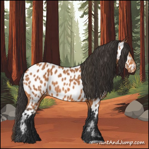 Horse Color:Bay Near Leopard