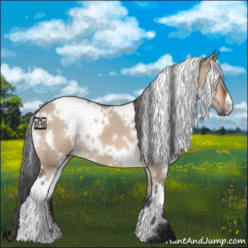 Horse Color:White Spotted Bay Dun