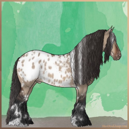 Horse Color:White Spotted Bay Dun Appaloosa