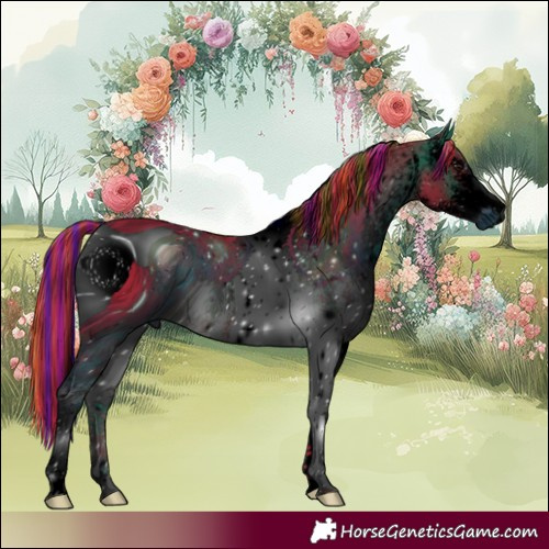 Horse Color:ERROR: UNKNOWN ANOMALY