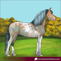 Horse Color:Painted Bay Dun Tobiano 