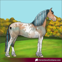 Horse Color:Painted Bay Dun Tobiano 
