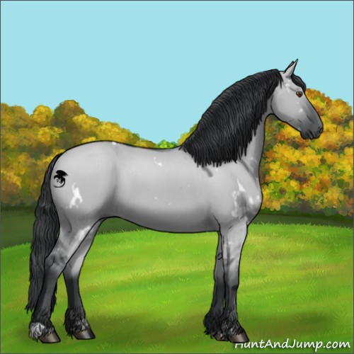 Horse Color:White Spotted Grullo Chinchilla 