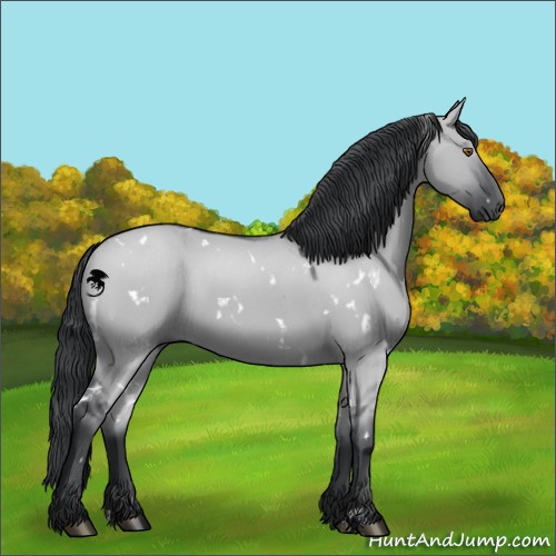 Horse Color:White Spotted Grullo Chinchilla 