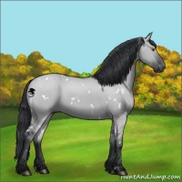 Horse Color:White Spotted Grullo Chinchilla 