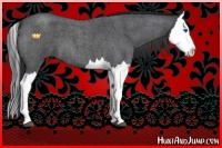 Horse Color:Blue Roan Splash 