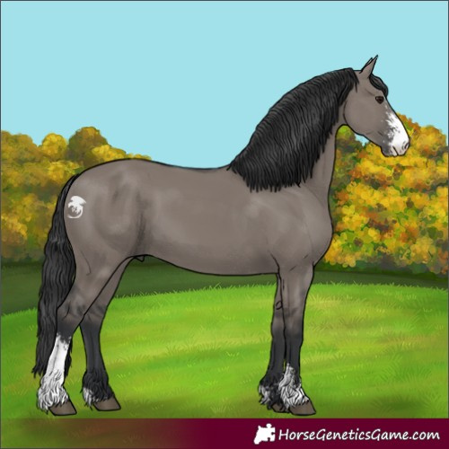 Horse Color:Grullo Sabino