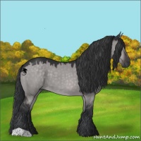 Horse Color:Platinum Brown Dun 
