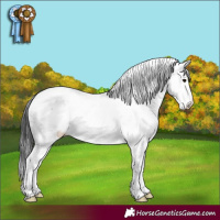 Horse Color:Brown Dun Sabino