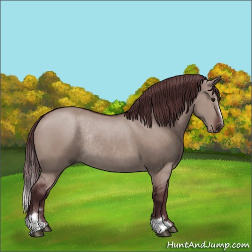 Horse Color:Chocolate Brown Dun Mushroom Sabino Rabicano