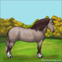 Horse Color:Chocolate Brown Dun Mushroom Sabino Rabicano 