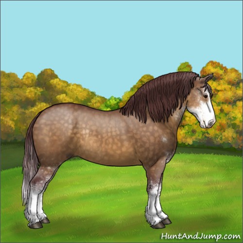 Horse Color:Chocolate Buckskin Dun Sabino Rabicano 