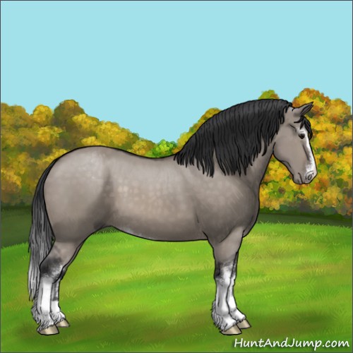 Horse Color:Brown Dun Mushroom Sabino
