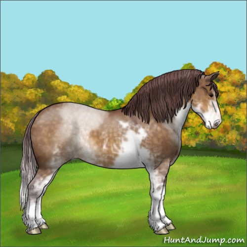 Horse Color:Chocolate Buckskin Dun Sabino 