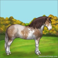 Horse Color:Chocolate Buckskin Dun Sabino