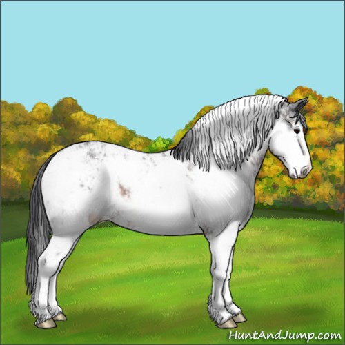 Horse Color:Brown Sabino Rabicano