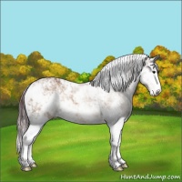 Horse Color:Chocolate Buckskin Dun Sabino 