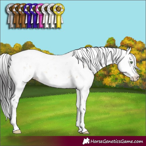 Horse Color:Buckskin Dun Sabino 