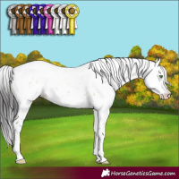 Horse Color:Buckskin Dun Sabino 