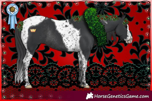 Horse Color:Black Splash Tobiano Rabicano 