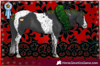 Horse Color:Black Splash Tobiano Rabicano 