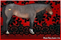 Horse Color:Brown Roan Tobiano 