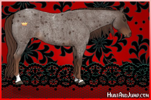 Horse Color:Liver Red Roan Tobiano 