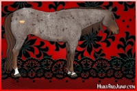 Horse Color:Liver Red Roan Tobiano 