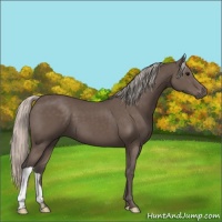 Horse Color:Silver Black 