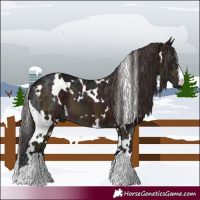 Horse Color:White Spotted Midnight Bay Ice