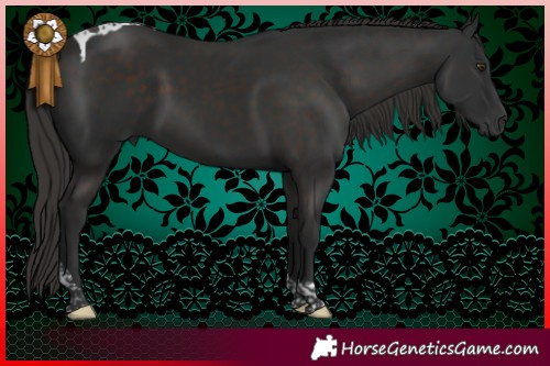 Horse Color:Liver Chestnut Tobiano 