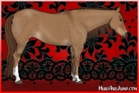 Horse Color:Gray Red Dun Tobiano 