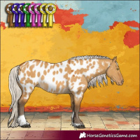 Horse Color:Silver Buckskin Dun Tobiano Near Leopard