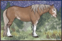 Horse Color:Silver Brown Dun Sabino Rabicano 