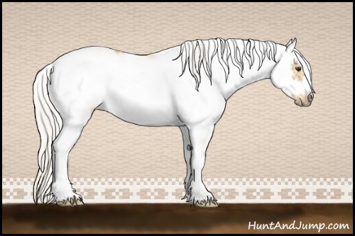 Horse Color:Silver Buckskin Sabino Frame Rabicano 