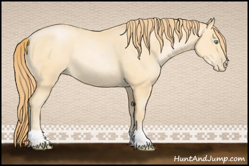 Horse Color:Buckskin Pearl Rabicano 