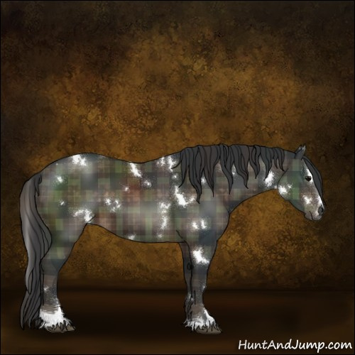 Horse Color:Plaid  White Spotted Brown Sabino 