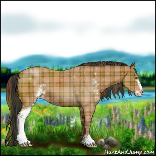 Horse Color:Plaid  Bay Sabino 