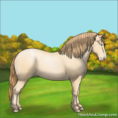 Horse Color:Buckskin Pearl 