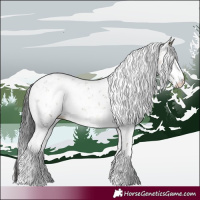 Horse Color:Buckskin Dun Sabino 