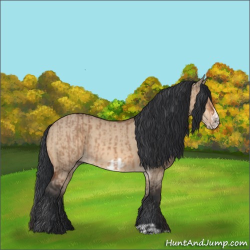 Horse Color:Bay Dun  and Bay Dun Frame 